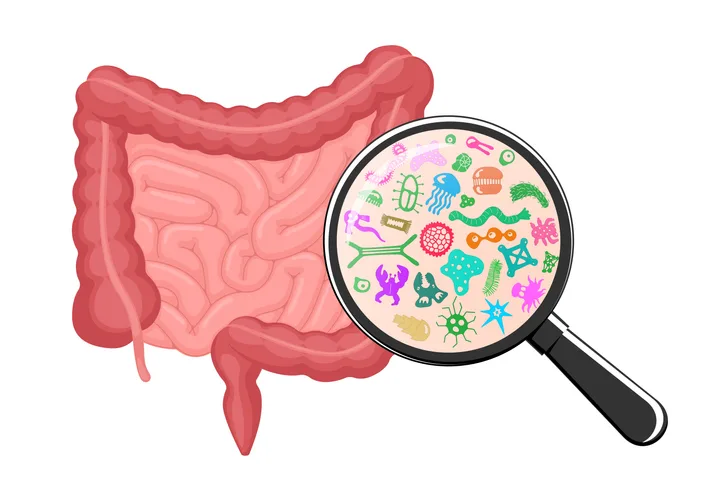 Gut microbiota: role, nutrition and health