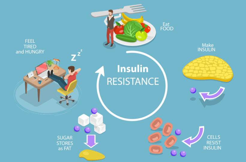 Diagram: insulin and cellular sensitivity